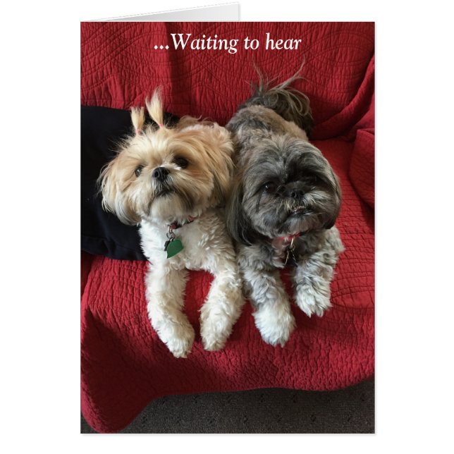 Cartões do dia a dia/ Grace e Glória (Frente)