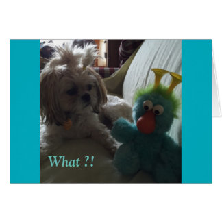 Cartões do dia a dia/ Grace e Glória