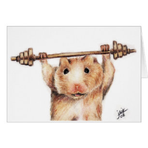 Cartões do exercício (hamster)