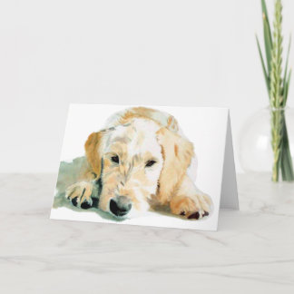 Cartões do filhote de cachorro de Labradoodle