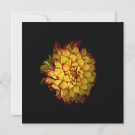 Cartões e Cartões de Agradecimento Dahlia