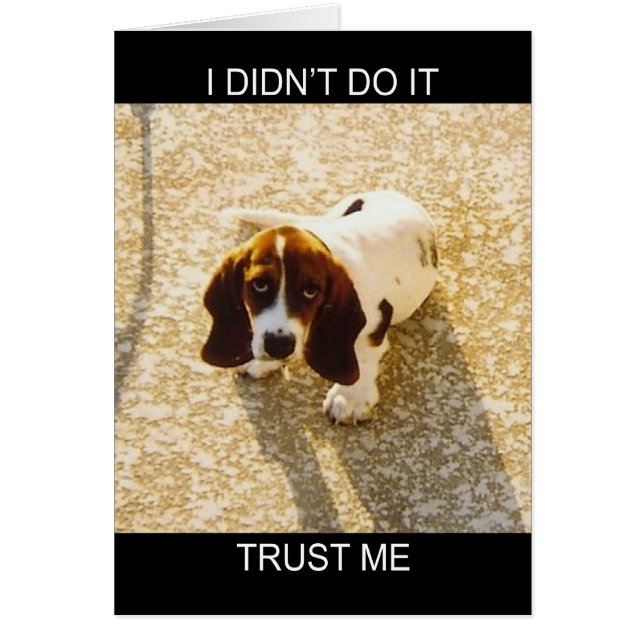 Cartões Hound Bassett (Frente)