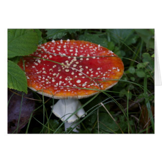 Cartões italianos, Borgo Valsugana