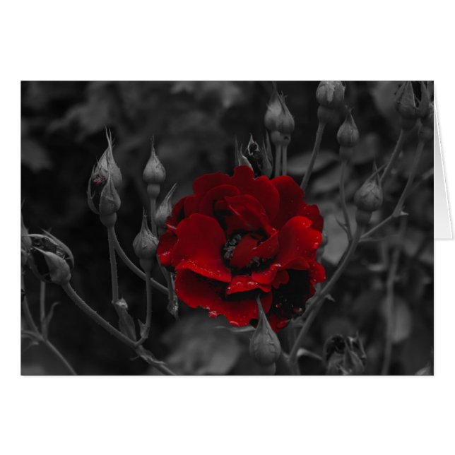 Cartões italianos, Trento (Frente Horizontal)