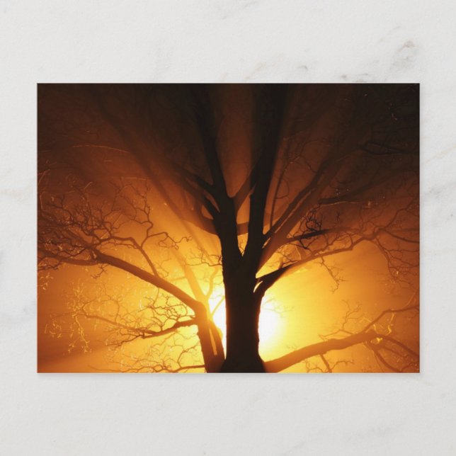 Cartões Láteos (Frente)