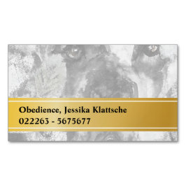 Cartões Magnéticos