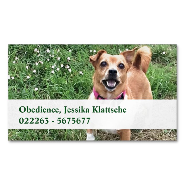 Cartões Magnéticos (Frente)