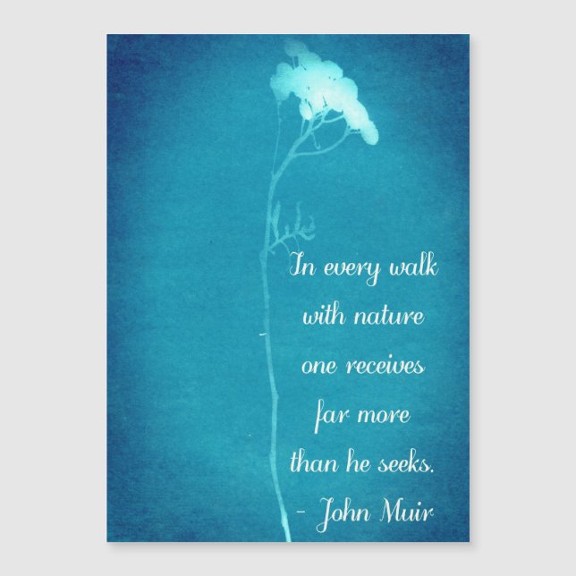 Cartões Magnéticos de Citação de Palk (Frente)