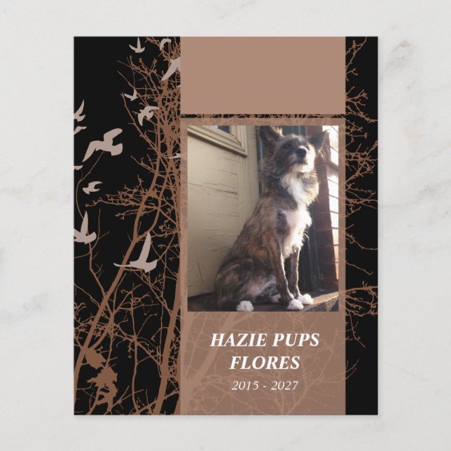 cartões memoriais aves para serigrafia (Frente)