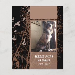 cartões memoriais aves para serigrafia