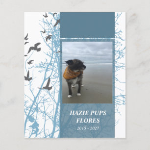 cartões memoriais aves para serigrafia