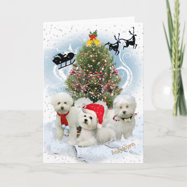 Cartões nevado do dia de Natal de Bichon (Frente)