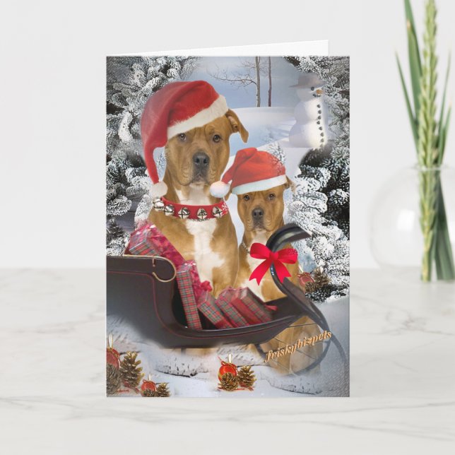 Cartões "Papais noeis" Pitbull (Frente)