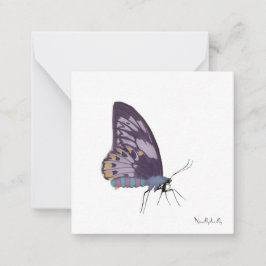 Cartões para notas de borboleta
