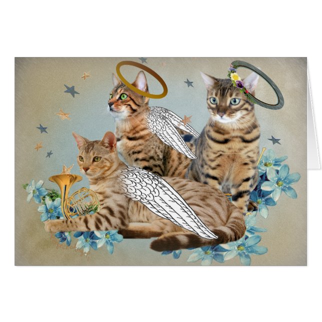 Cartões perfeitos dos anjos de Bengal (Frente Horizontal)