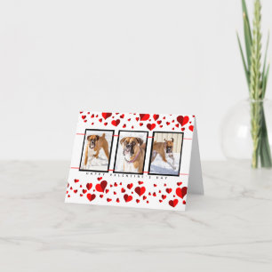 Cartões personalizados do animal de estimação -