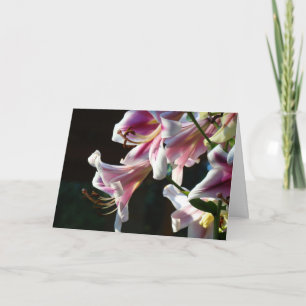 Cartões Personalizados Lilões Lilosos Rosa, Liloso