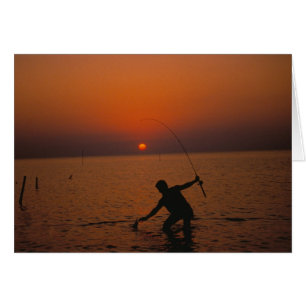 Cartões / Pesca por solário