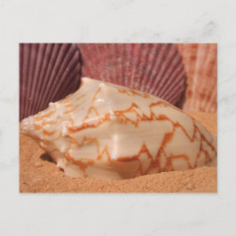 Cartões postais 619