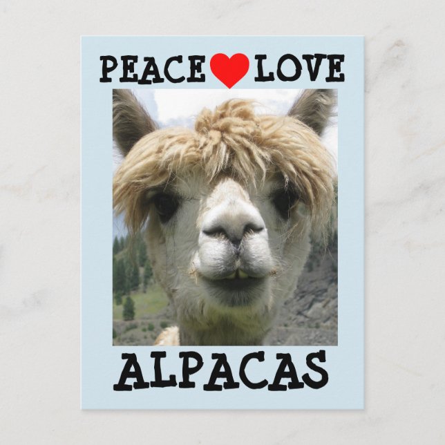 CARTÕES POSTAIS ALPACA AMOR (Frente)