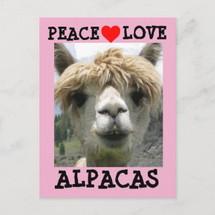 CARTÕES POSTAIS ALPACA AMOR