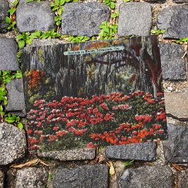 Cartões postais Azaleas em Bloom em Savana GA