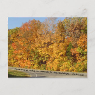 Cartões postais: Caminho para a Delícia