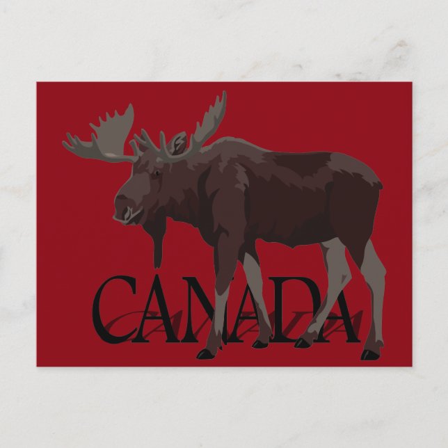 Cartões postais canadenses Moose (Frente)