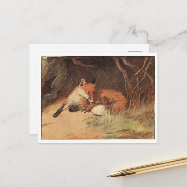 Cartões postais Cecil Aldin (Frente/Verso In Situ)