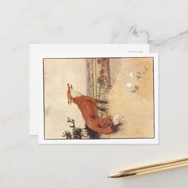 Cartões postais Cecil Aldin (Frente/Verso In Situ)