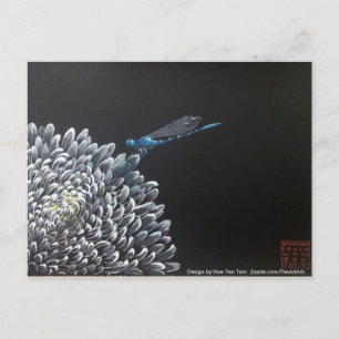 Cartões postais - Chrysanthemum e damselfly