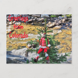 Cartões postais "Chump Christmas"