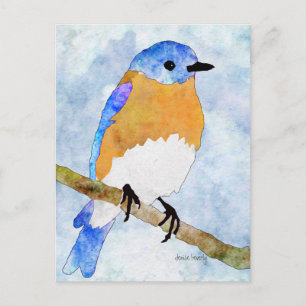 Cartões postais com estilo aquarela do Bluebird O