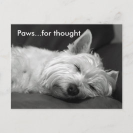 Cartões postais Cute Westie