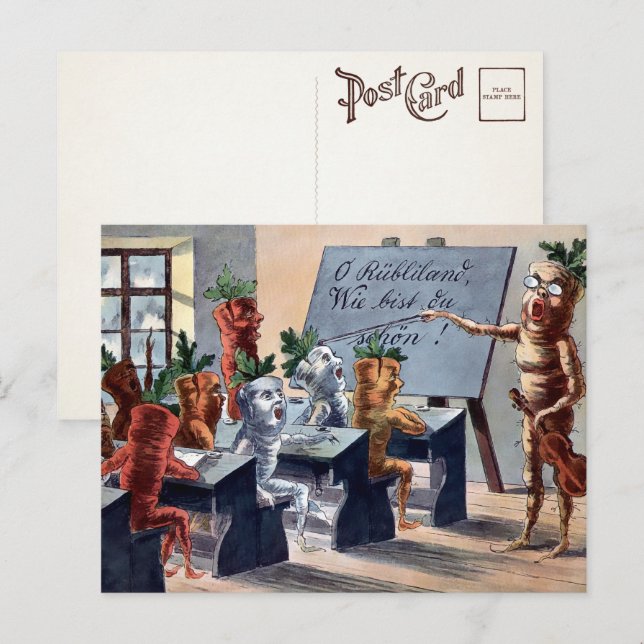 Cartões Postais da Aula de Música das Cenouras Vin (Frente/Verso)