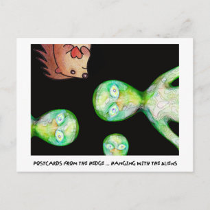 CARTÕES POSTAIS DA BORDA!