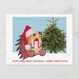 CARTÕES POSTAIS DA BORDA