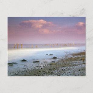 Cartões postais da "Costa Norfolk"