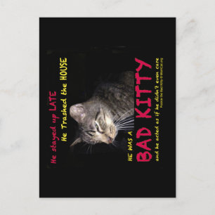 Cartões Postais da Gata Ruim
