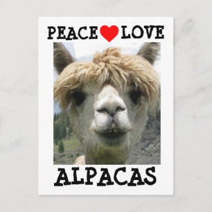 CARTÕES POSTAIS DE AMOR DE ALPACA