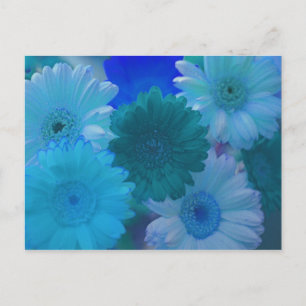 Cartões postais de arte da Flor de Gerbera Azul