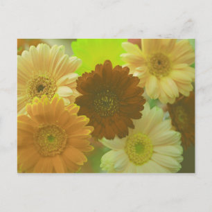 Cartões Postais de Arte de Flor de Gerbera Amarela
