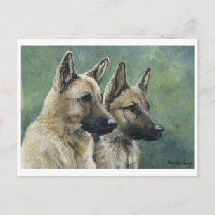 Cartões postais de arte de German shepherd "Duplo