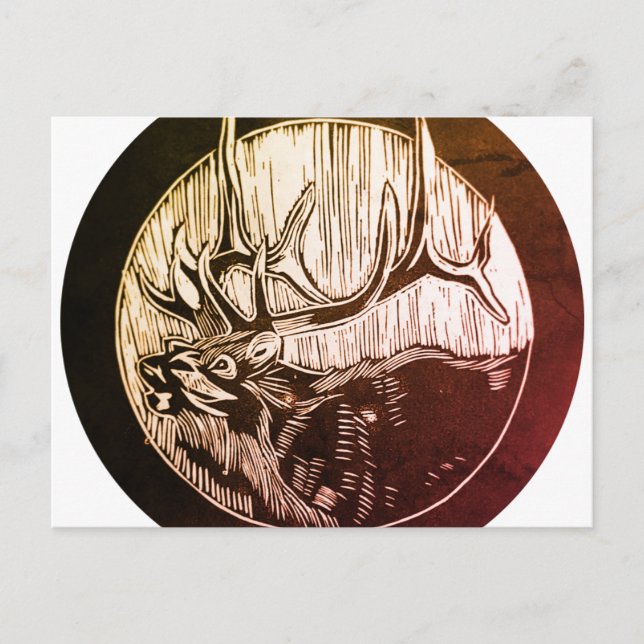 Cartões postais de árvore e paisagismo das Caraíba (Frente)