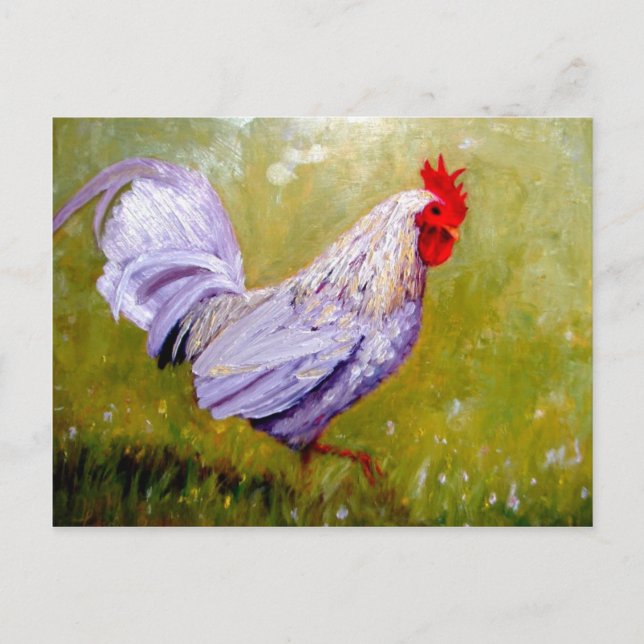 cartões postais de aves bonitos 12 (Frente)