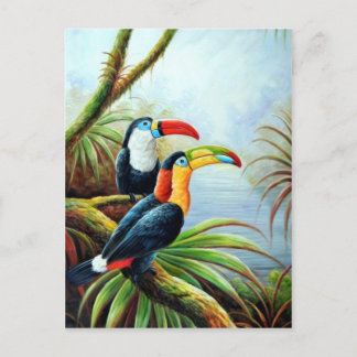 cartões postais de aves lindos 02
