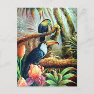 cartões postais de aves lindos 04