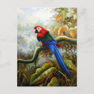 cartões postais de aves lindos 06