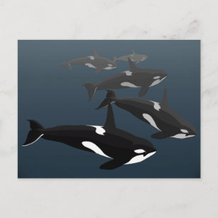 Cartões-postais de baleia Orca, cartões de arte