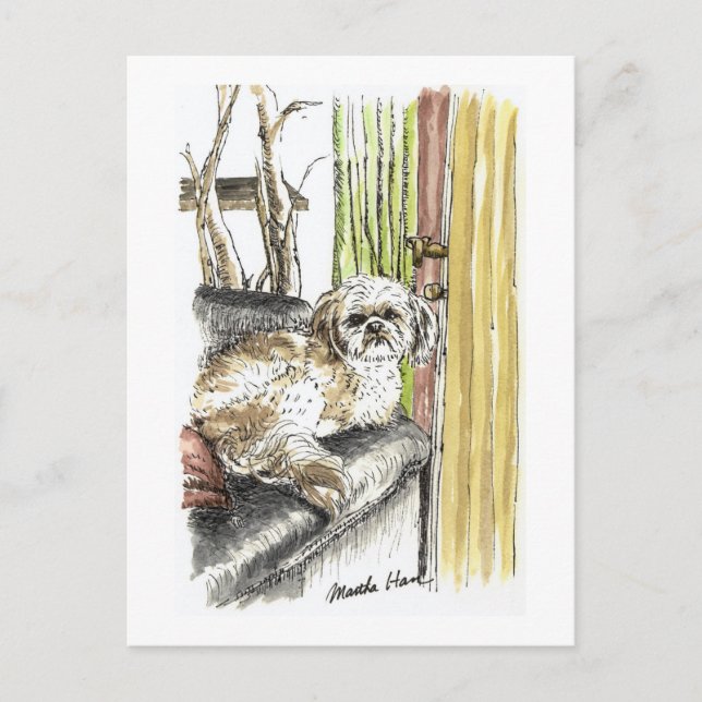 Cartões postais de cães (Frente)